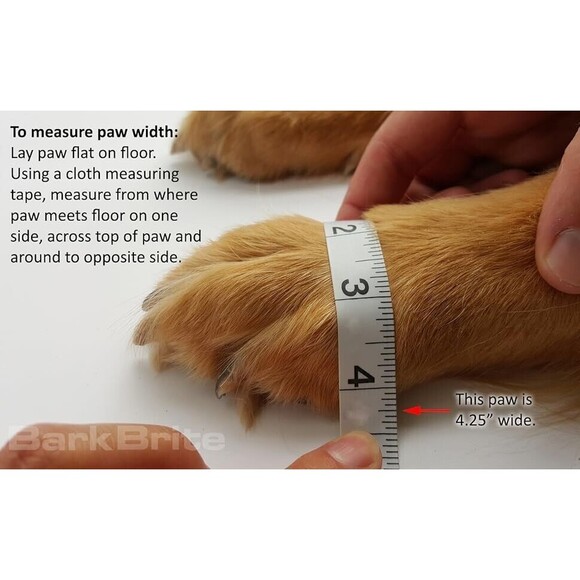 All Weather Neoprene Paw Protector Dog Boots, Reflective Velcro, M, 4 Shoes - Picture 10 of 10